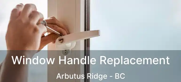  Window Handle Replacement Arbutus Ridge - BC