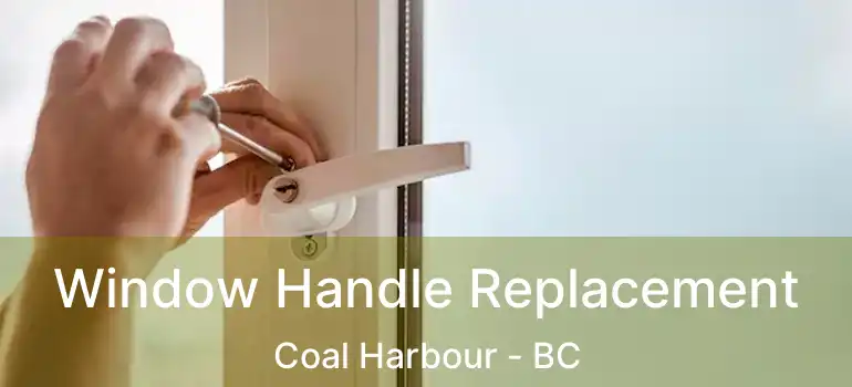  Window Handle Replacement Coal Harbour - BC