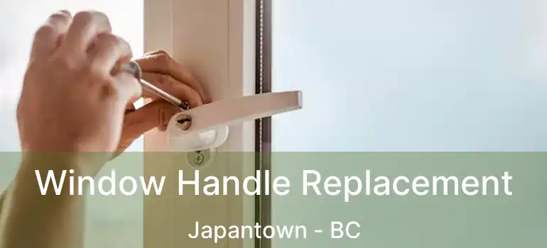  Window Handle Replacement Japantown - BC