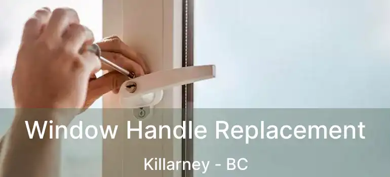  Window Handle Replacement Killarney - BC