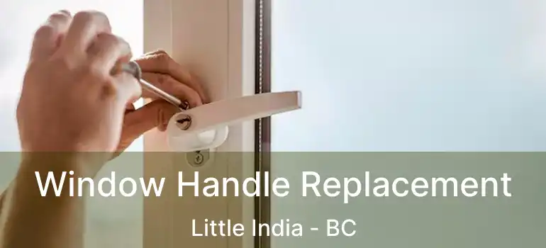  Window Handle Replacement Little India - BC