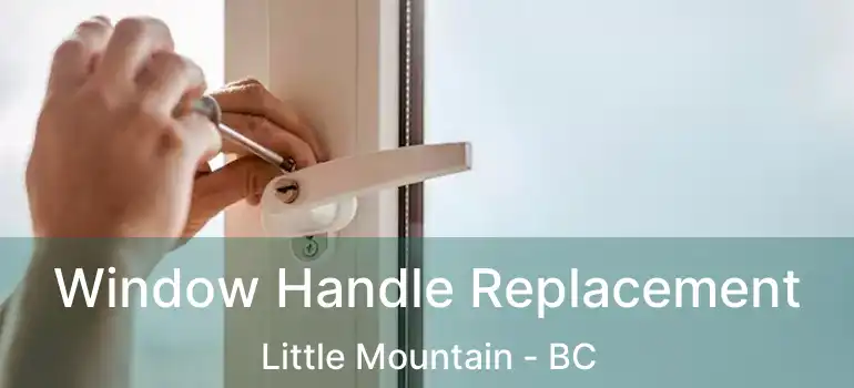  Window Handle Replacement Little Mountain - BC