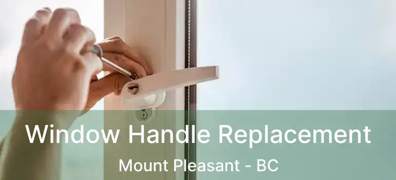 Window Handle Replacement Mount Pleasant - BC