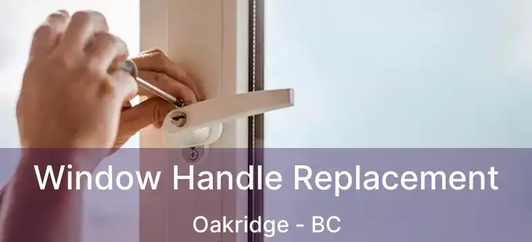  Window Handle Replacement Oakridge - BC