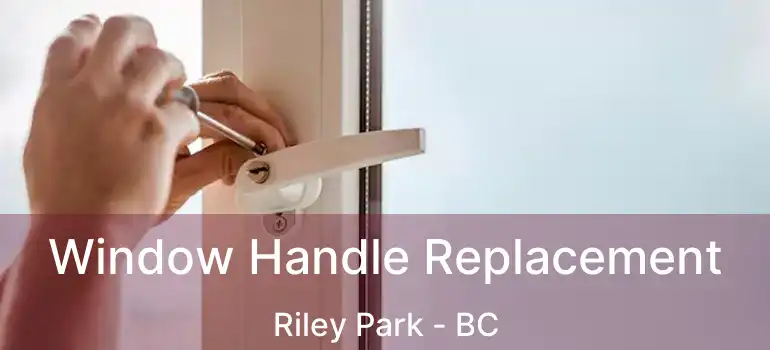  Window Handle Replacement Riley Park - BC