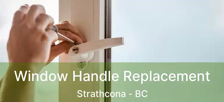  Window Handle Replacement Strathcona - BC