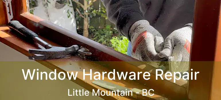  Window Hardware Repair Little Mountain - BC