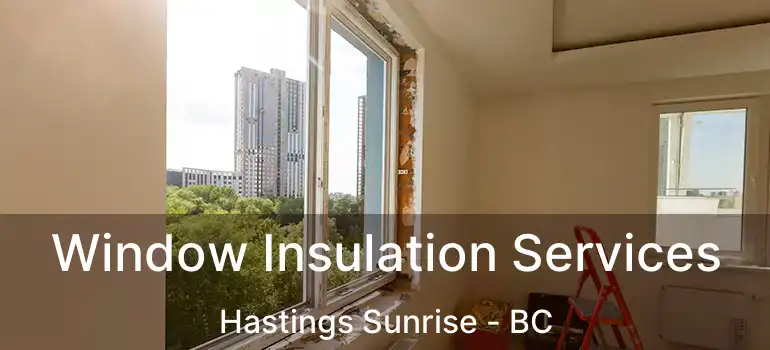 Window Insulation Services Hastings Sunrise - BC