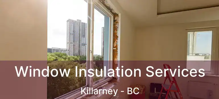  Window Insulation Services Killarney - BC