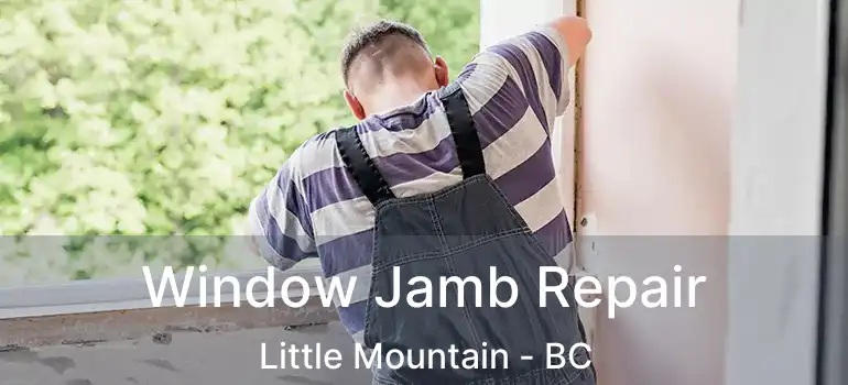  Window Jamb Repair Little Mountain - BC