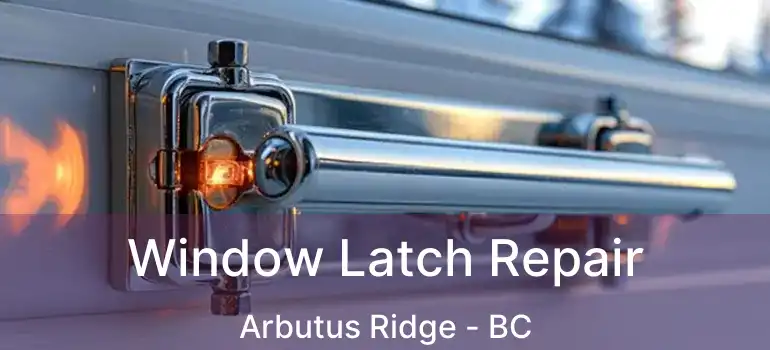  Window Latch Repair Arbutus Ridge - BC