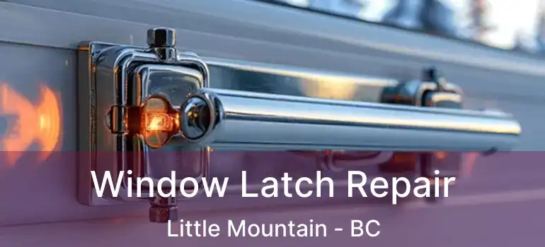  Window Latch Repair Little Mountain - BC