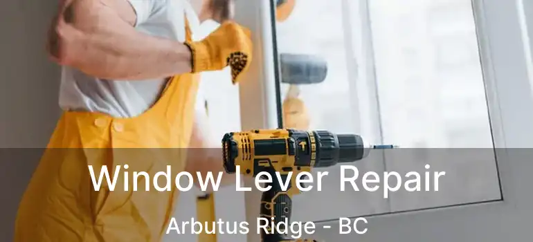  Window Lever Repair Arbutus Ridge - BC