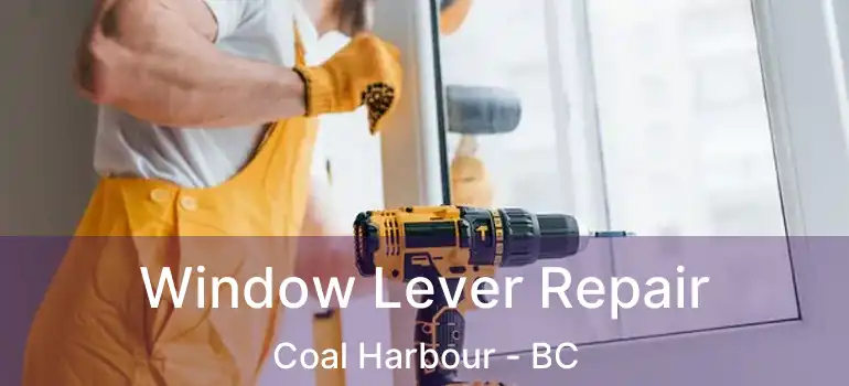 Window Lever Repair Coal Harbour - BC