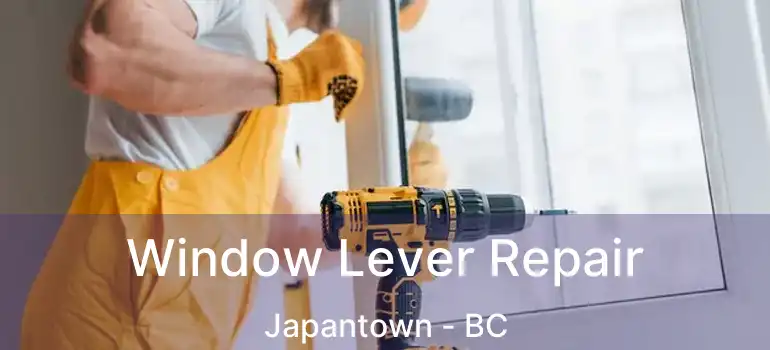  Window Lever Repair Japantown - BC