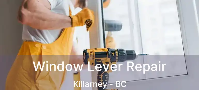 Window Lever Repair Killarney - BC