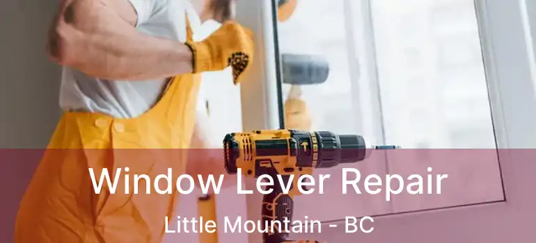  Window Lever Repair Little Mountain - BC