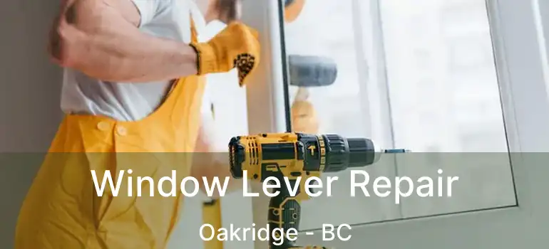 Window Lever Repair Oakridge - BC