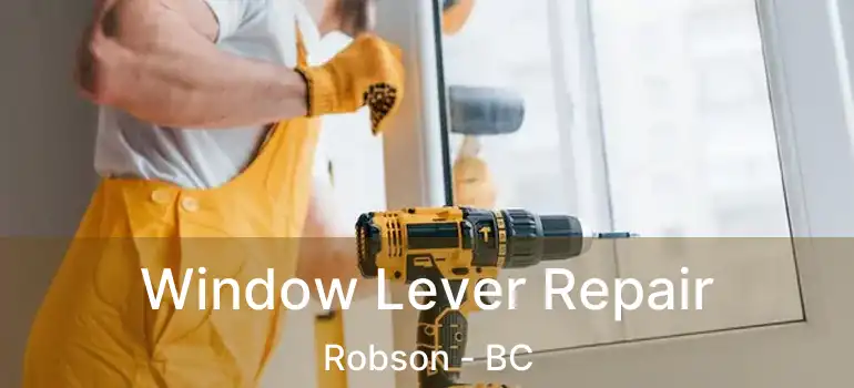  Window Lever Repair Robson - BC