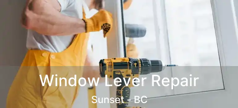  Window Lever Repair Sunset - BC