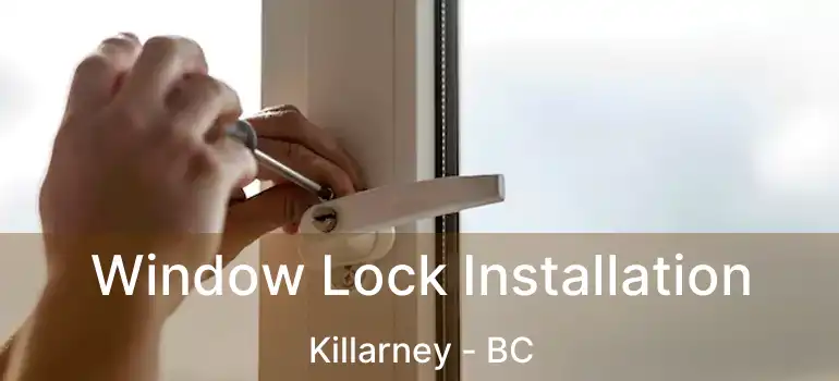  Window Lock Installation Killarney - BC