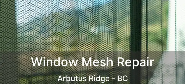  Window Mesh Repair Arbutus Ridge - BC
