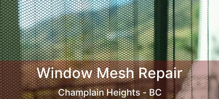  Window Mesh Repair Champlain Heights - BC