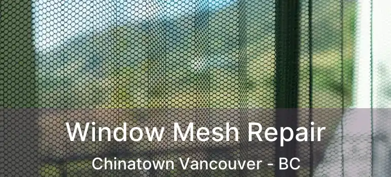  Window Mesh Repair Chinatown Vancouver - BC