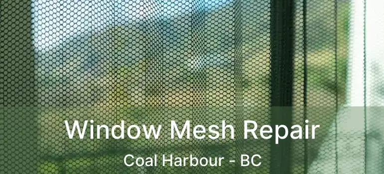  Window Mesh Repair Coal Harbour - BC
