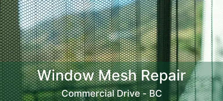  Window Mesh Repair Commercial Drive - BC
