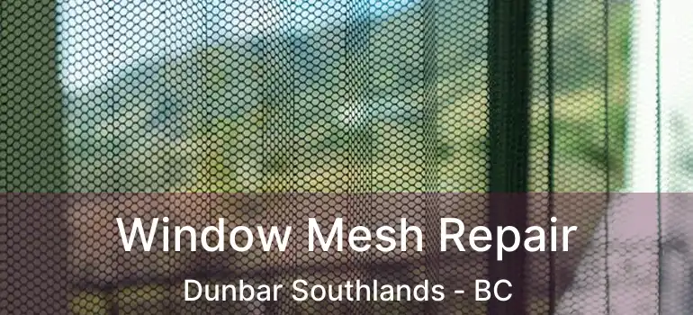  Window Mesh Repair Dunbar Southlands - BC