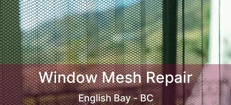  Window Mesh Repair English Bay - BC