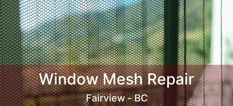  Window Mesh Repair Fairview - BC