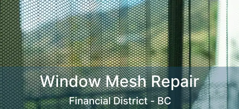  Window Mesh Repair Financial District - BC