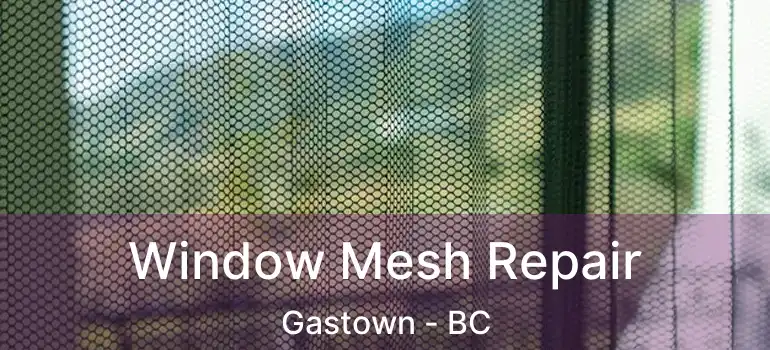  Window Mesh Repair Gastown - BC