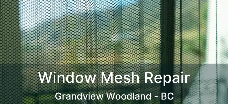  Window Mesh Repair Grandview Woodland - BC