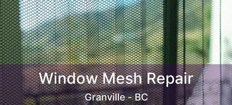  Window Mesh Repair Granville - BC