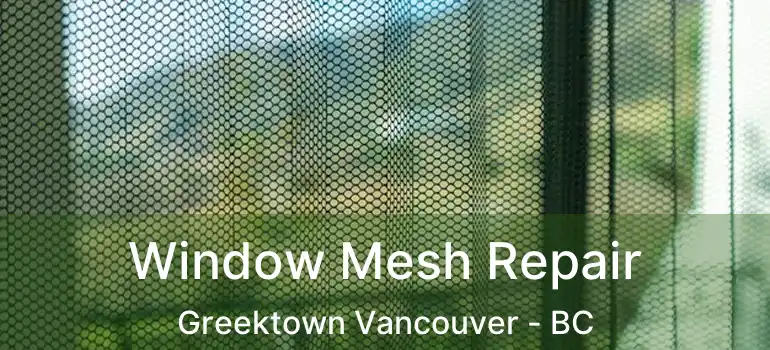  Window Mesh Repair Greektown Vancouver - BC