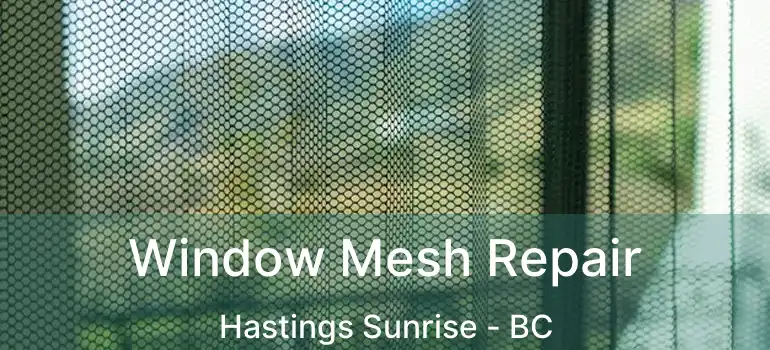  Window Mesh Repair Hastings Sunrise - BC