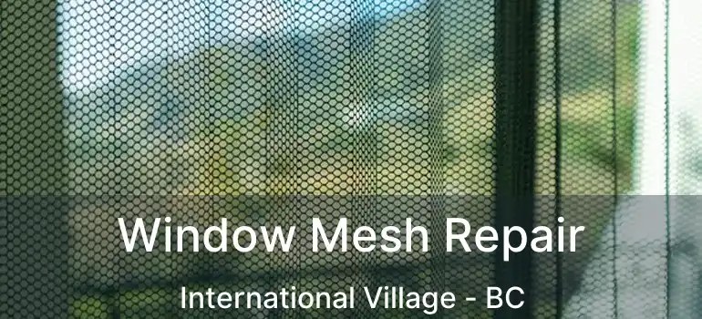  Window Mesh Repair International Village - BC