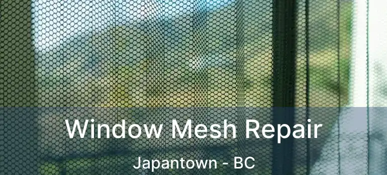  Window Mesh Repair Japantown - BC