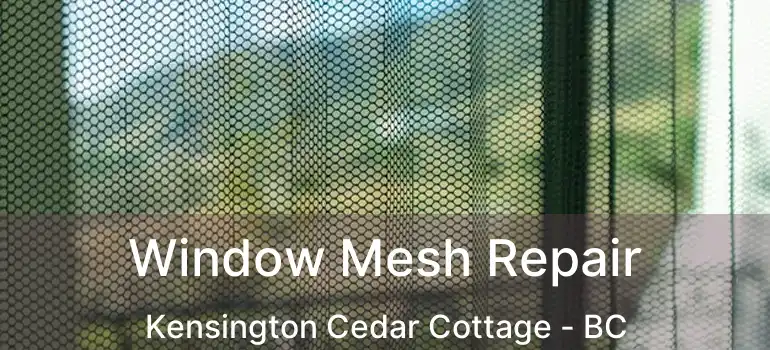  Window Mesh Repair Kensington Cedar Cottage - BC