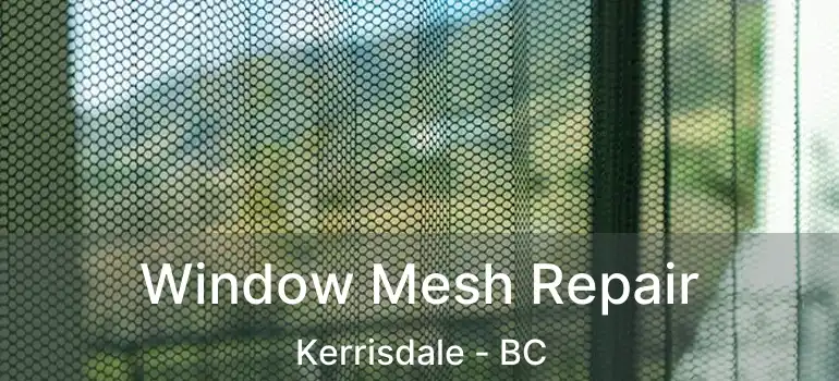  Window Mesh Repair Kerrisdale - BC