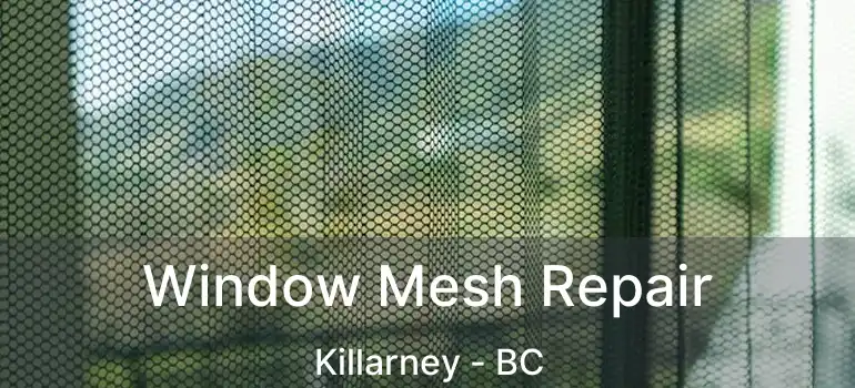  Window Mesh Repair Killarney - BC