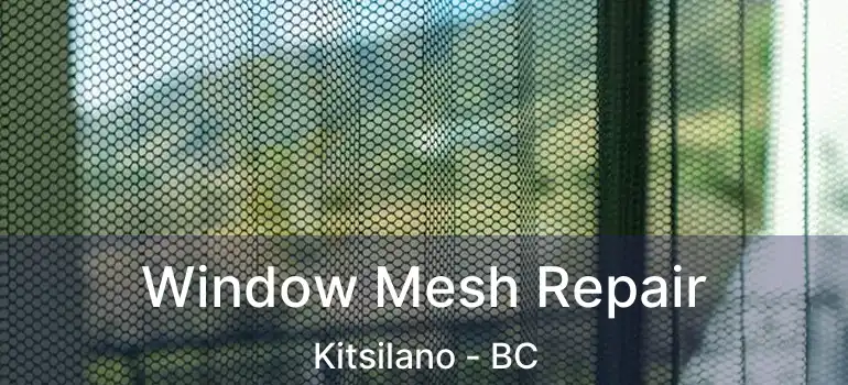  Window Mesh Repair Kitsilano - BC