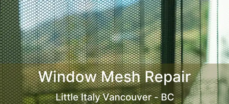  Window Mesh Repair Little Italy Vancouver - BC