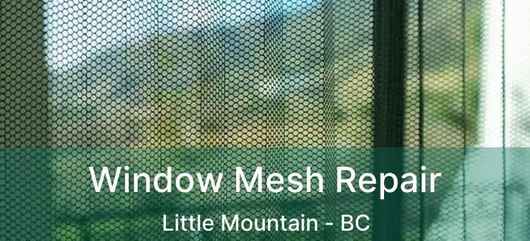  Window Mesh Repair Little Mountain - BC