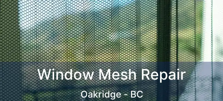  Window Mesh Repair Oakridge - BC