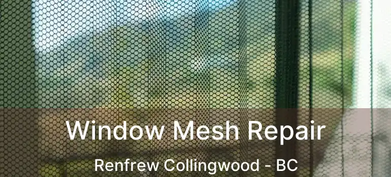  Window Mesh Repair Renfrew Collingwood - BC
