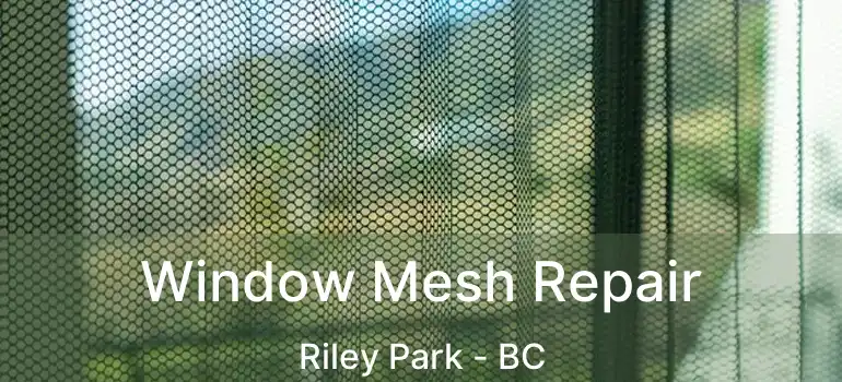  Window Mesh Repair Riley Park - BC